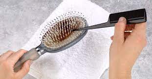 Brush Bliss: Dive into the Ultimate Guide for Cleaning Hair Brushes