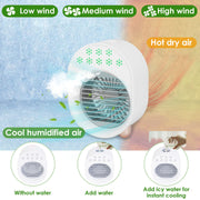 4 In 1 Mini Fan