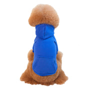 Small And Medium Sized Dogs Wearing Caps And Fleece Clothes