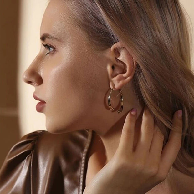 Irregular Simple Curved Earrings Women