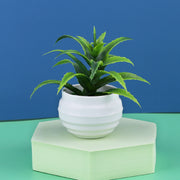 Mini Artificial Aloe Plants