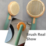 Pet Pumpkin Brush Self Cleaning Slicker