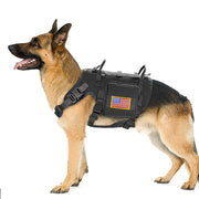 Vest Working Dog