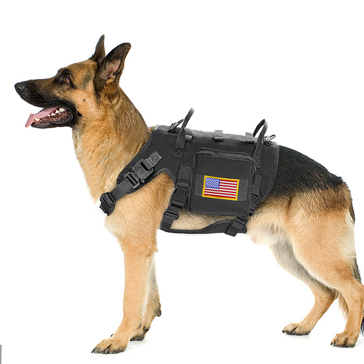 Vest Working Dog