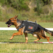 Vest Working Dog
